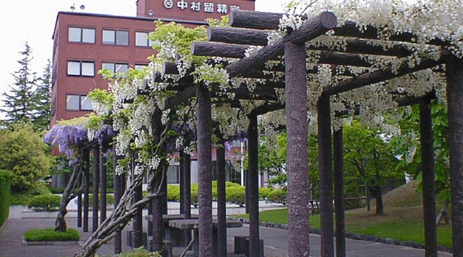 藤棚
