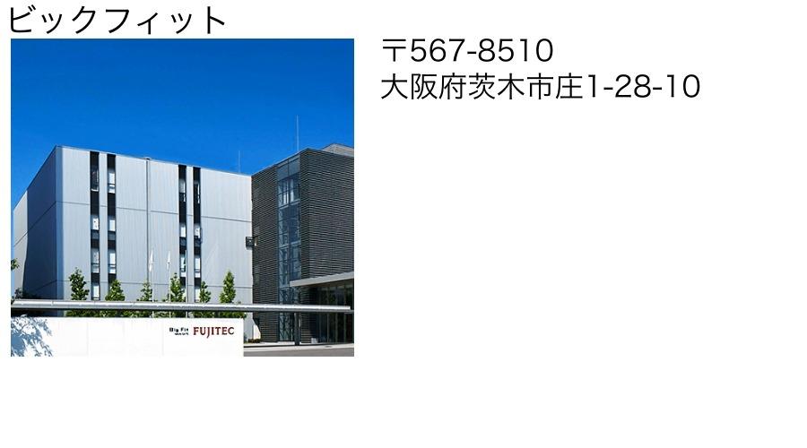 ビッグフィット