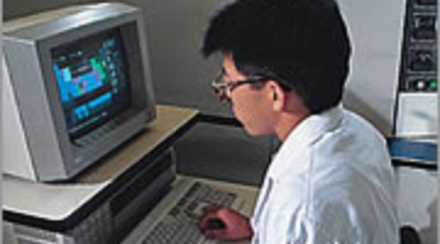 働く様子